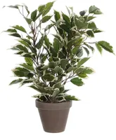 KUNSTLILL MICA DECORATIONS FIIKUS NATASJA POTIS Ø11,5CM ROHELINE/HALL