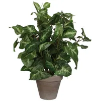 KUNSTLILL MICA DECORATIONS FITTONIA Ø25X35CM POTIS Ø11,5CM ROHELINE/HALL