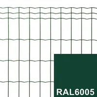 AIAVÕRK 50X100/2,2MM 1000MM 25M RULL PVC ROHELINE RAL6005