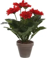 KUNSTLILL MICA DECORATIONS GERBERA Ø30X35CM POTIS Ø11,5 PUNANE/HALL