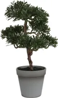 KUNSTTAIM MICA DECORATIONS BONSAI POTIS Ø25X32CM ROHELINE