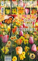LILLESIBUL KAPITEYN BLOOMS, BEES AND BUTTERFLIES