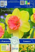 LILLESIBUL KAPITEYN SUURE LISAKROONIGA NARTSISS "LORIKEET"