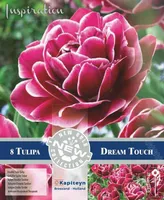 LILLESIBUL KAPITEYN HILINE TÄIDISÕIELINE TULP "DREAM TOUCH"