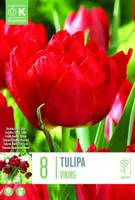 LILLESIBUL KAPITEYN TÄIDISÕIELINE TULP "VIKING"