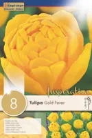 LILLESIBUL KAPITEYN TÄIDISÕIELINE TULP "GOLD FEVER"