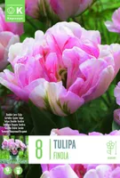 LILLESIBUL KAPITEYN TÄIDISÕIELINE TULP "FINOLA"
