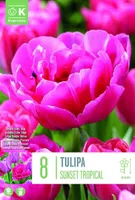 LILLESIBUL KAPITEYN TÄIDISÕIELINE TULP "SUNSET TROPICAL"