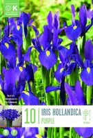 LILLESIBUL KAPITEYN HOLLANDI IIRIS