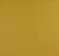 TAPEET DUTCH WALLCOVERINGS NON WOVEN KOLLANE 67167632