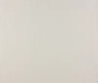 TAPEET DUTCH WALLCOVERINGS NON WOVEN CANVAS VALGE 7140-0