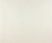 TAPEET DUTCH WALLCOVERINGS NON WOVEN VALGE 7233-0
