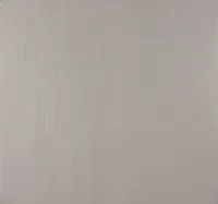 TAPEET DUTCH WALLCOVERINGS NON WOVEN VALGE 7317-0
