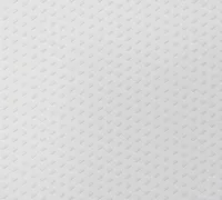 TAPEET DUTCH WALLCOVERINGS NON WOVEN BRAID 7333-0