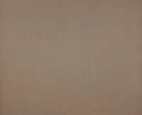 TAPEET DUTCH WALLCOVERINGS NON WOVEN URBAN NOMAD UNI BRUIN 240-06