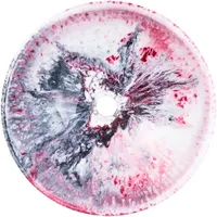 VALAMU GEMLOOK GL435 Ø40X13CM KUNSTLIK VAIK MUST-PUNANE-VALGE