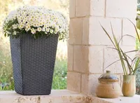 LILLEPOTIÜMBRIS S RATTAN 23,6L TUMEHALL