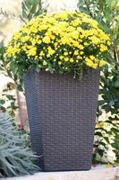 LILLEPOTIÜMBRIS M RATTAN 55,4L TUMEHALL