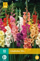LILLESIBUL GLADIOOL MIX 10TK
