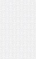 KLEEBIS D-C-FIX 0,45X2M KLAASILE 346-0659