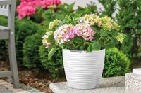 LILLEPOTT FORM-PLASTIC SAHARA ÜMAR VALGE 17CM