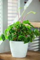 LILLEPOTT FORM-PLASTIC SAHARA ÜMAR VALGE 17CM