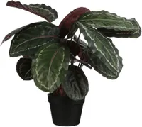 KUNSTLILL MICA DECORATIONS TIIGERLEHIK PLASTPOTIS 70X40CM