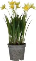 KUNSTLILL MICA DECORATIONS NARTSISS PLASTPOTIS 26X9CM