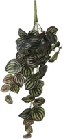 KUNSTLILL MICA DECORATIONS RIPUTATAV PEPEROOMIA 58X20X14CM