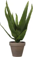 KUNSTLILL MICA DECORATIONS ALOE VERA POTIS 30X16CM