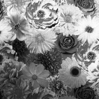TAPEET ARTHOUSE FOIL IN BLOOM MONO