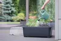KASTEKANN PROSPERPLAST KONI ROHELINE 1,8L