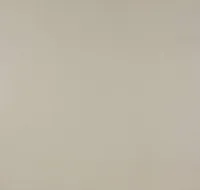 TAPEET DUTCH WALLCOVERINGS PAPIER UNI BEIGE