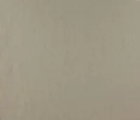 TAPEET DUTCH WALLCOVERINGS SCHUIMVINYL MEXICO BEIGE