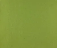 TAPEET DUTCH WALLCOVERINGS SCHUIMVINYL UNI LIMEGROEN