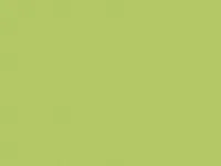 TAPEET DUTCH WALLCOVERINGS RAFFI CITY GARDEN UNI GREEN