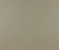 TAPEET DUTCH WALLCOVERINGS VLIESBEHANG UNI CREME