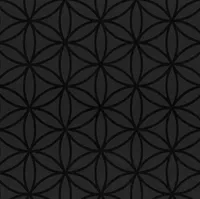 TAPEET DUTCH WALLCOVERINGS VLIESBEHANG CIRKEL ZWART