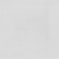 TAPEET DUTCH WALLCOVERINGS VLIESBEHANG UNI CREME