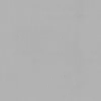 TAPEET DUTCH WALLCOVERINGS VLIESBEHANG UNI BEIGE