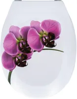 PRILL-LAUD RIDDER ORCHIDEE VAIKSELT SULGUV DUROPLAST KIRJU