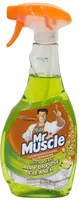 ÜLDPUHASTUSVAHEND MR. MUSCLE 500 ML