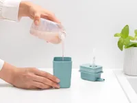 SEEBIDOSAATOR BRABANTIA MINT