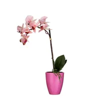 KUNSTLILL MICA DECORATIONS KUUKING ROOSA 42X10CM