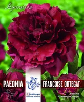 POJENG FRANCOISE ORTEGAT KAPITEYN