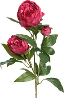 KUNSTLILL EVERLANDS POJENG 75CM, POLÜESTER FUKSIA