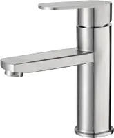 VALAMUSEGISTI AQUALINE AQ STEEL 247RV003 ROOSTEVABA TERAS