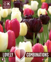 LILLESIBULATEKOMPL. HILINE LIHTÕIELINE TULP 20TK