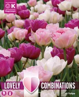 LILLESIBULATEKOMPL. TOPLETÕIELINE TULP 15TK