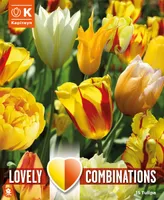 LILLESIBULATEKOMPL. TULP "PÄIKSELINE SEGU" 15TK
